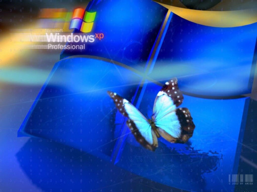 381271 (a): :1024x768